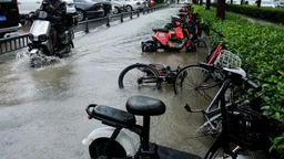 台风“白海豚”持续影响中国东部 上海多地被淹 943个航班取消